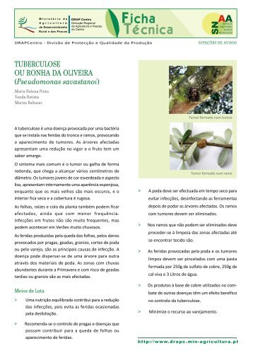 Tuberculose ou Ronha da Oliveira - DRAP Centro