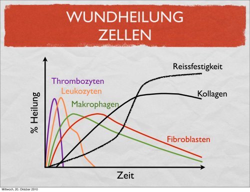 Einfluss der Ernährung auf chronische Wunden - geskes