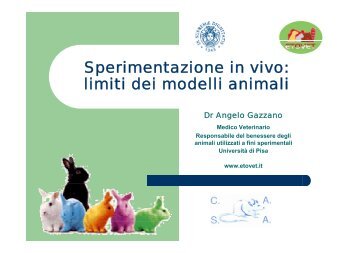 Relazione Dott. Gazzano - UniversitÃ  degli Studi di Pisa