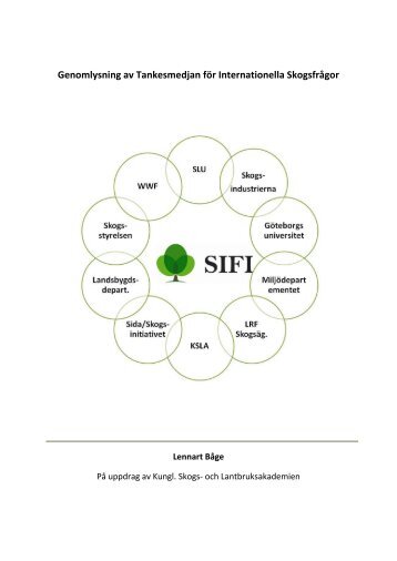 Genomlysning av SIFI (3) m bil