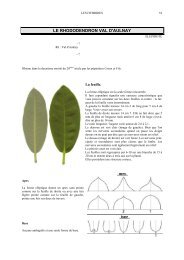 Le Rhododendron Val d'Aulnay. Etude et photo