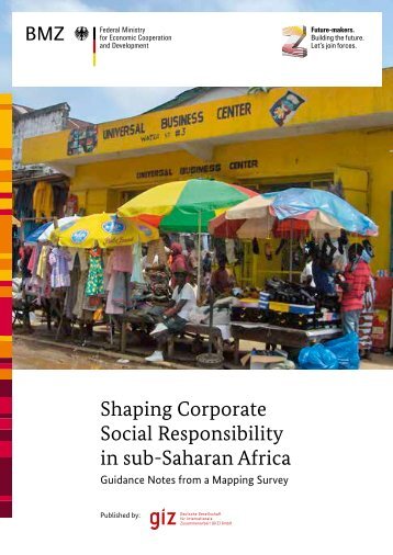 [PDF] Shaping Corporate Social Responsibility in sub-Saharan Africa