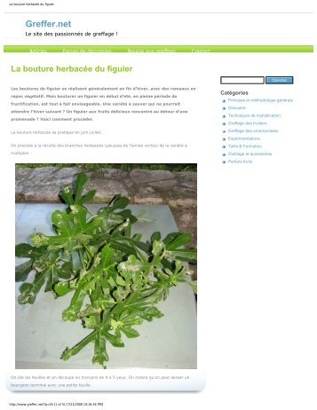 La bouture herbacÃ©e du figuier - Figs 4 Fun
