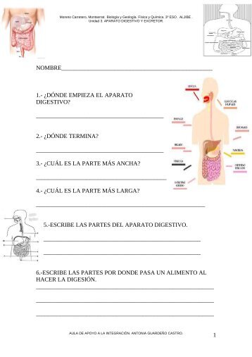 EXAMEN Unidad 3. APARATO DIGESTIVO Y EXCRETOR. - Aula PT