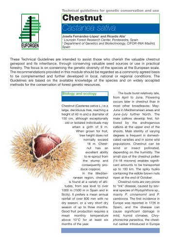 Castanea sativa - Euforgen