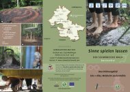Broschüre Eins + Alles - Schwäbischer Wald