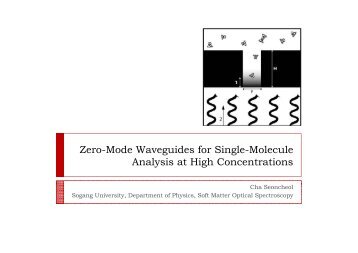 Zero-Mode Waveguides for Single-Molecule g g Analysis at High ...