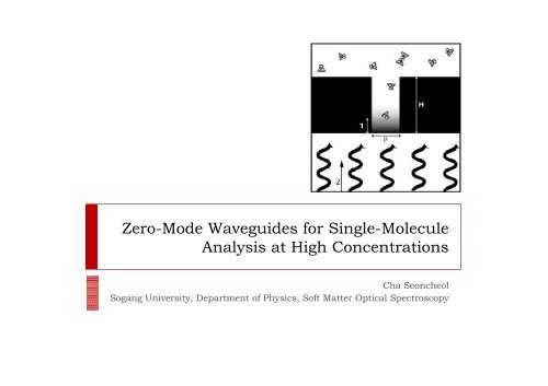Zero-Mode Waveguides for Single-Molecule g g Analysis at High ...