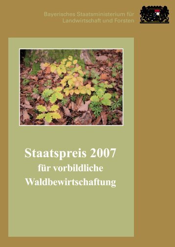 Staatspreis fÃ¼r vorbildliche Waldbewirtschaftung 2007 - Bayerisches ...