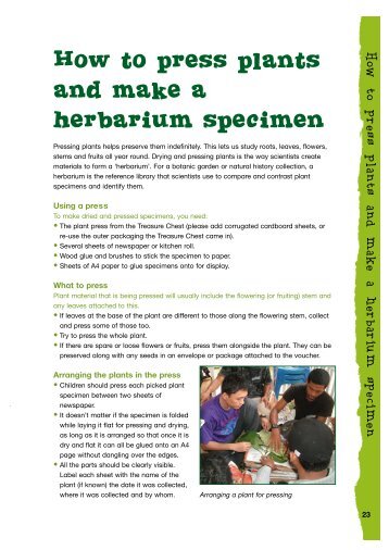 How to press plants and make a herbarium specimen