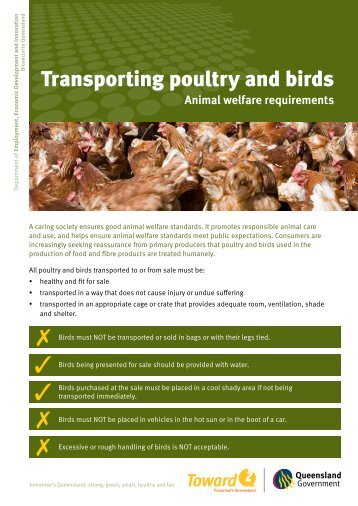 Transporting poultry and birds-Animal welfare requirements