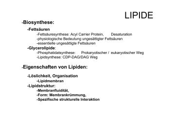 LIPIDE