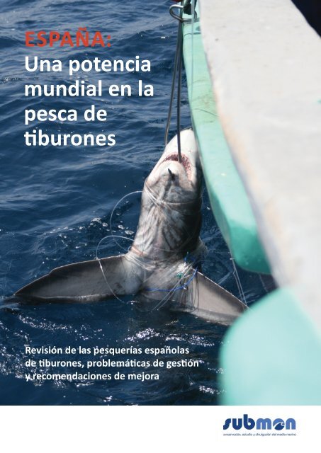 ESPAÃA: Una potencia mundial en la pesca de tiburones