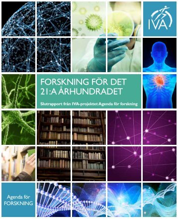 Forskning fÃ¶r det 21:a Ã¥rhundradet - slutrapport (pdf) - IVA