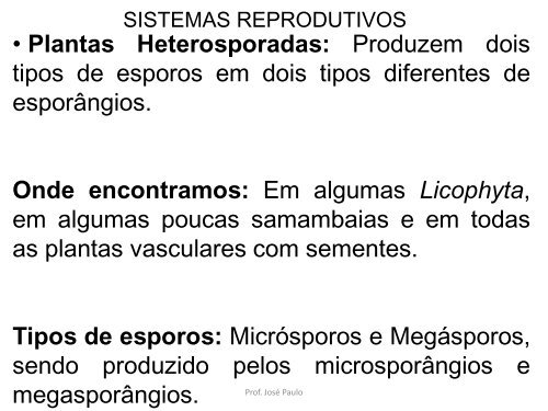 Plantas vasculares Sem Sementes PTERYDOPHYTAS