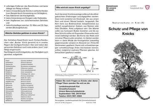 Schutz und Pflege von Knicks (Faltblatt der ... - Gemeinde Felm