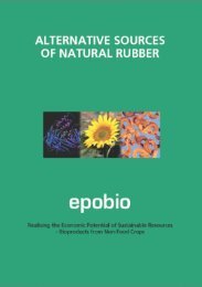 alternative sources of natural rubber
