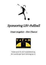 Sponsoring LSV - Fußball