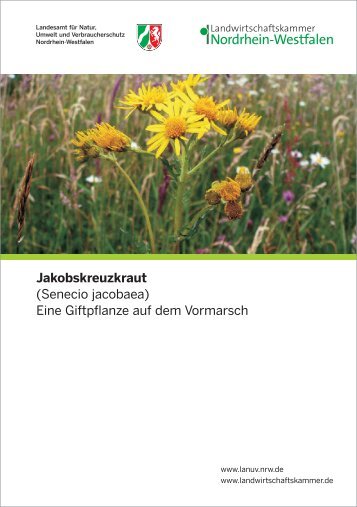 Jakobskreuzkraut - eine Giftpflanze auf dem Vormarsch