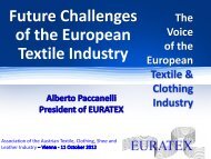 Future Challenges of the European Textile Industry