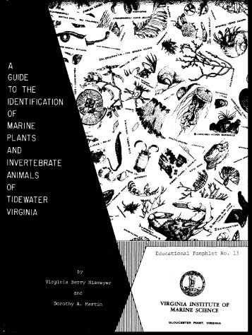 Guide to the identification of marine plants and invertebrate animals ...