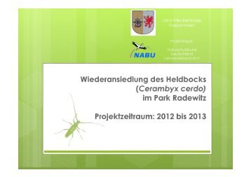 Vortrag: "Wiederansiedlung des Heldbocks im Gutspark Radewitz"