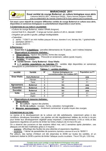 essai variétal de courge Butternut en culture biologique sous abris