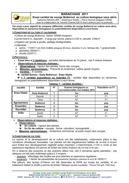 essai variétal de courge Butternut en culture biologique sous abris