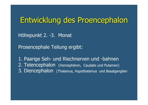 Prof. Dr. med. Burckhard Terwey Hirnfehlbildungen und mehr!