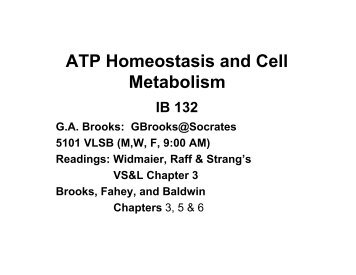 ATP Homeostasis and Cell Metabolism - PageOut