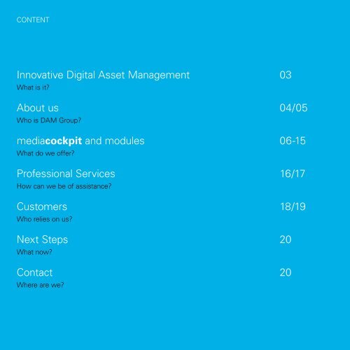 DAM Group Brochure, English