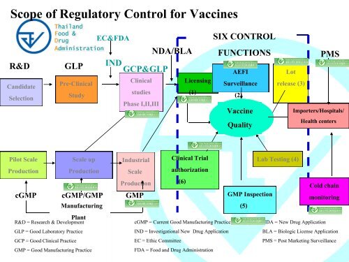 Regulatory Requirements for Investigational Drugs - à¸à¸£à¸°à¸à¸£à¸§à¸à¸ªà¸²à¸à¸²à¸£à¸à¸ªà¸¸à¸