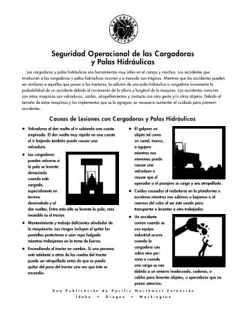 Seguridad Operacional de las Cargadoras y Palas Hidráulicas