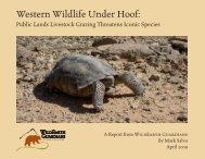 Western Wildlife Under Hoof - WildEarth Guardians