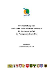 Bewirtschaftungsplan nach Artikel 13 der Richtlinie 2000 ... - Bayern