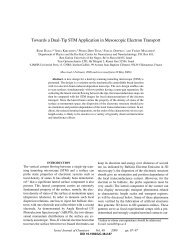 Towards a Dual-Tip STM Application in Mesoscopic ... - Site Map