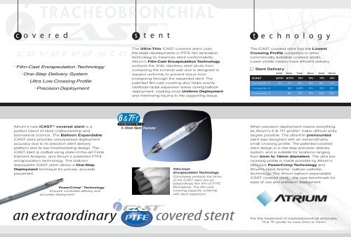 iCAST Balloon expandable stent.pdf