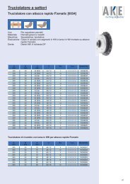 Catalogo Truciolatore a settori - Howema Italia