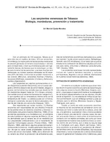 las serpientes venenosas de tabasco. biologÃ­a, mordeduras ...