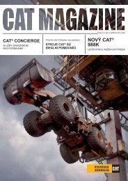 catÃ‚Â® concierge - Phoenix Zeppelin