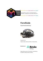 Ferrofluide - Swiss Nano Cube