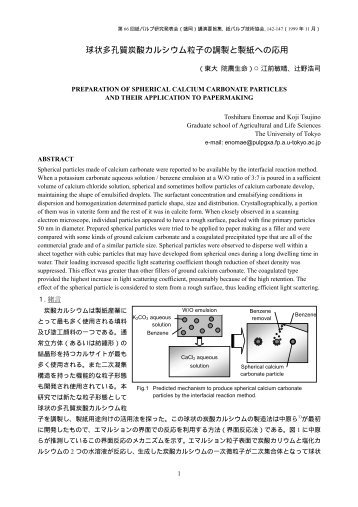 APPLICATION OF HOLLOW CALCIUM CARBONATE PARTICLES ...