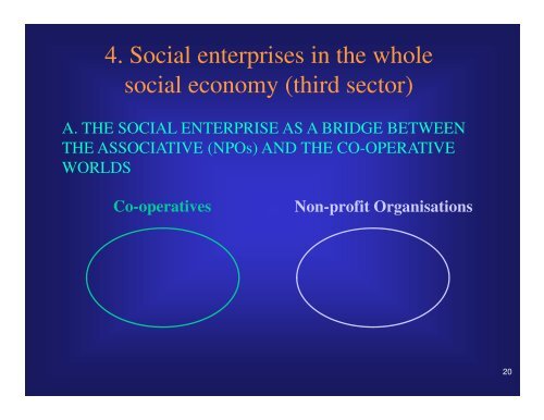 The Worldwide Emergence of Social Enterprise - PARC