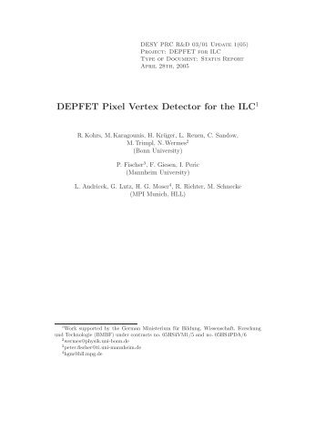 DEPFET Pixel Vertex Detector for the ILC - MPG HLL