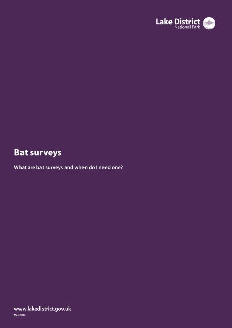 Bat surveys guidance note (PDF) - Lake District National Park
