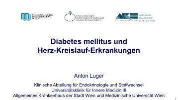 Vortrag Prof. Dr. Anton Luger - Vinzenz Gruppe