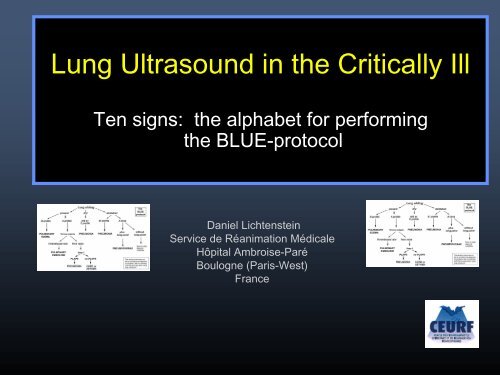 Lung Ultrasound in the Critically Ill - Crashing Patient