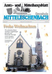 Amtsblatt Nr. 12 / Ausgabe 20.12.2013 - Mitteleschenbach