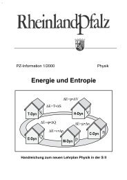 Handreichung Energie Entropie - Strauch-nw.de