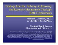 In Recovery - Chestnut Health Systems